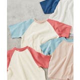マルチカラー1 | WEB限定 ラグランTシャツ | F.O.Online Store