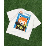 アイボリー | 【リンク】旭山動物園応援商品 バリエーションTシャツ | F.O.Online Store