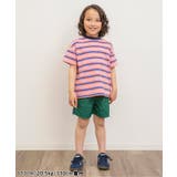 WEB限定 マルチボーダーTシャツ | F.O.Online Store | 詳細画像4