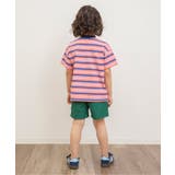 WEB限定 マルチボーダーTシャツ | F.O.Online Store | 詳細画像5