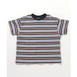 チャコール | WEB限定 マルチボーダーTシャツ | F.O.Online Store
