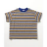 マスタード | WEB限定 マルチボーダーTシャツ | F.O.Online Store