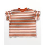 オレンジ | WEB限定 マルチボーダーTシャツ | F.O.Online Store