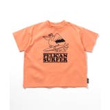 WEB限定 いろいろカレッジTシャツ | F.O.Online Store | 詳細画像6