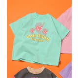 ミント | WEB限定 いろいろカレッジTシャツ | F.O.Online Store
