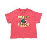レッド | 6色6柄いろいろサガラワッペンTシャツ | F.O.Online Store