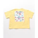イエロー | バックロゴTシャツ | F.O.Online Store