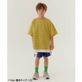 WEB限定 KUDOZ.B レイヤード先染めボーダーTシャツ | F.O.Online Store | 詳細画像23