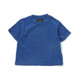 safari Tシャツ | F.O.Online Store | 詳細画像3