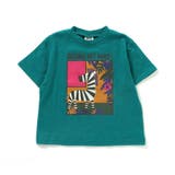 safari Tシャツ | F.O.Online Store | 詳細画像8