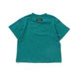 safari Tシャツ | F.O.Online Store | 詳細画像9