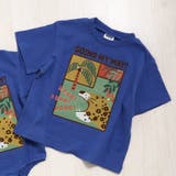 ブルー | safari Tシャツ | F.O.Online Store