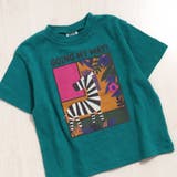 グリーン | safari Tシャツ | F.O.Online Store