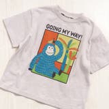 オフホワイト | safari Tシャツ | F.O.Online Store