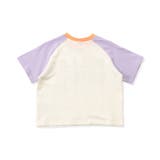 【I'm Jelly！】配色ラグランカラバリTシャツ | F.O.Online Store | 詳細画像4 