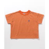 オレンジ | ゆったりボーダーTシャツ | F.O.Online Store
