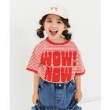レッド | 【リンク】リンガー配色3柄ロゴTシャツ | F.O.Online Store