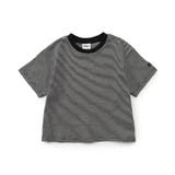 【WEB限定】ボーダー&無地ベーシック半袖Tシャツ | F.O.Online Store | 詳細画像10