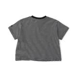 【WEB限定】ボーダー&無地ベーシック半袖Tシャツ | F.O.Online Store | 詳細画像11 