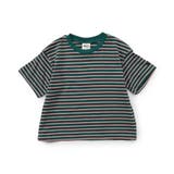 【WEB限定】ボーダー&無地ベーシック半袖Tシャツ | F.O.Online Store | 詳細画像14 