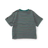 【WEB限定】ボーダー&無地ベーシック半袖Tシャツ | F.O.Online Store | 詳細画像15 