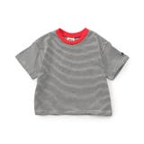 【WEB限定】ボーダー&無地ベーシック半袖Tシャツ | F.O.Online Store | 詳細画像22 