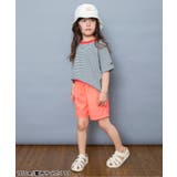 【WEB限定】ボーダー&無地ベーシック半袖Tシャツ | F.O.Online Store | 詳細画像24 