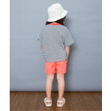 【WEB限定】ボーダー&無地ベーシック半袖Tシャツ | F.O.Online Store | 詳細画像25 