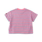 【WEB限定】ボーダー&無地ベーシック半袖Tシャツ | F.O.Online Store | 詳細画像27 