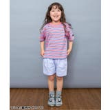 【WEB限定】ボーダー&無地ベーシック半袖Tシャツ | F.O.Online Store | 詳細画像28 