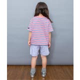 【WEB限定】ボーダー&無地ベーシック半袖Tシャツ | F.O.Online Store | 詳細画像29