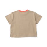 【WEB限定】ボーダー&無地ベーシック半袖Tシャツ | F.O.Online Store | 詳細画像3 
