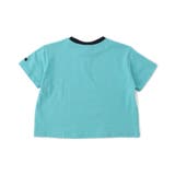 【WEB限定】ボーダー&無地ベーシック半袖Tシャツ | F.O.Online Store | 詳細画像31