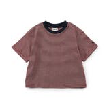 【WEB限定】ボーダー&無地ベーシック半袖Tシャツ | F.O.Online Store | 詳細画像34 