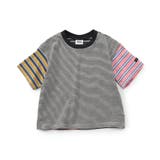 【WEB限定】ボーダー&無地ベーシック半袖Tシャツ | F.O.Online Store | 詳細画像38 
