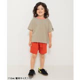 【WEB限定】ボーダー&無地ベーシック半袖Tシャツ | F.O.Online Store | 詳細画像4 