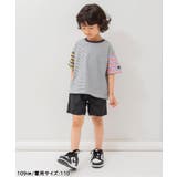 【WEB限定】ボーダー&無地ベーシック半袖Tシャツ | F.O.Online Store | 詳細画像40