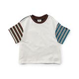 【WEB限定】ボーダー&無地ベーシック半袖Tシャツ | F.O.Online Store | 詳細画像42 
