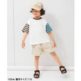 【WEB限定】ボーダー&無地ベーシック半袖Tシャツ | F.O.Online Store | 詳細画像44 
