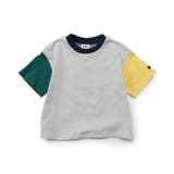【WEB限定】ボーダー&無地ベーシック半袖Tシャツ | F.O.Online Store | 詳細画像46 