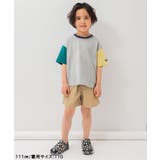 【WEB限定】ボーダー&無地ベーシック半袖Tシャツ | F.O.Online Store | 詳細画像48 