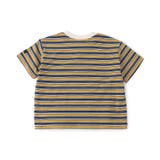 【WEB限定】ボーダー&無地ベーシック半袖Tシャツ | F.O.Online Store | 詳細画像51 