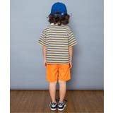 【WEB限定】ボーダー&無地ベーシック半袖Tシャツ | F.O.Online Store | 詳細画像53 