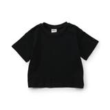 【WEB限定】ボーダー&無地ベーシック半袖Tシャツ | F.O.Online Store | 詳細画像6 