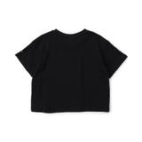 【WEB限定】ボーダー&無地ベーシック半袖Tシャツ | F.O.Online Store | 詳細画像7