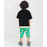 【WEB限定】ボーダー&無地ベーシック半袖Tシャツ | F.O.Online Store | 詳細画像9 