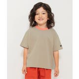 ベージュ | 【WEB限定】ボーダー&無地ベーシック半袖Tシャツ | F.O.Online Store