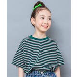 グリーン | 【WEB限定】ボーダー&無地ベーシック半袖Tシャツ | F.O.Online Store