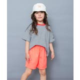 オフホワイト | 【WEB限定】ボーダー&無地ベーシック半袖Tシャツ | F.O.Online Store