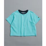 サックス | 【WEB限定】ボーダー&無地ベーシック半袖Tシャツ | F.O.Online Store